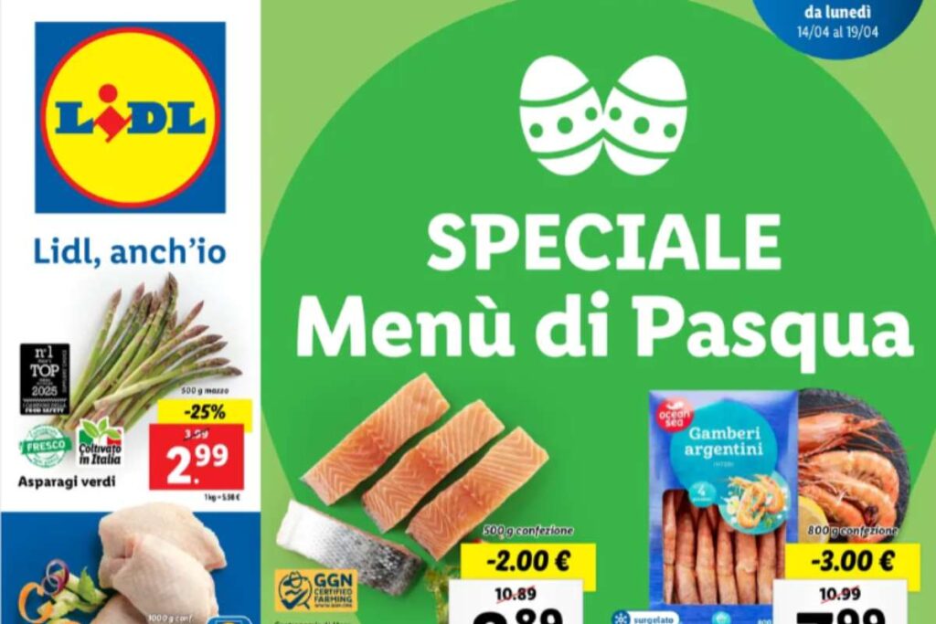 volantino lidl con prodotti in offerta