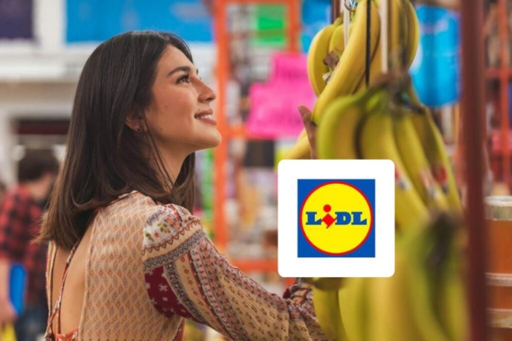 donna che fa la spesa logo lidl