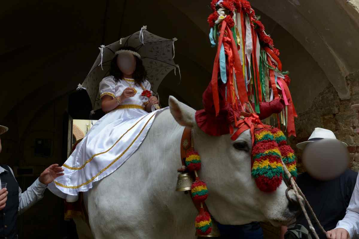 Una bambina sul bue durante la Festa del bue di San Zopito a Loreto Aprutino