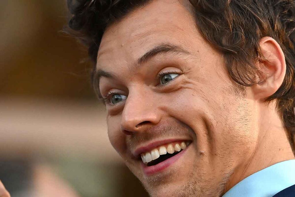 Harry Styles primo piano