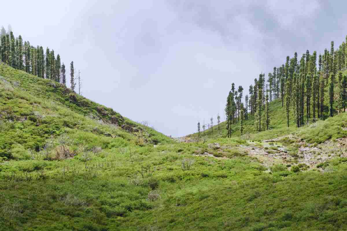 Vallata di montagna su cui grava un cielo minaccioso