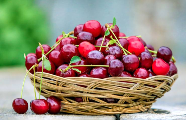 Ciliegie fresche in un cestino di vimini