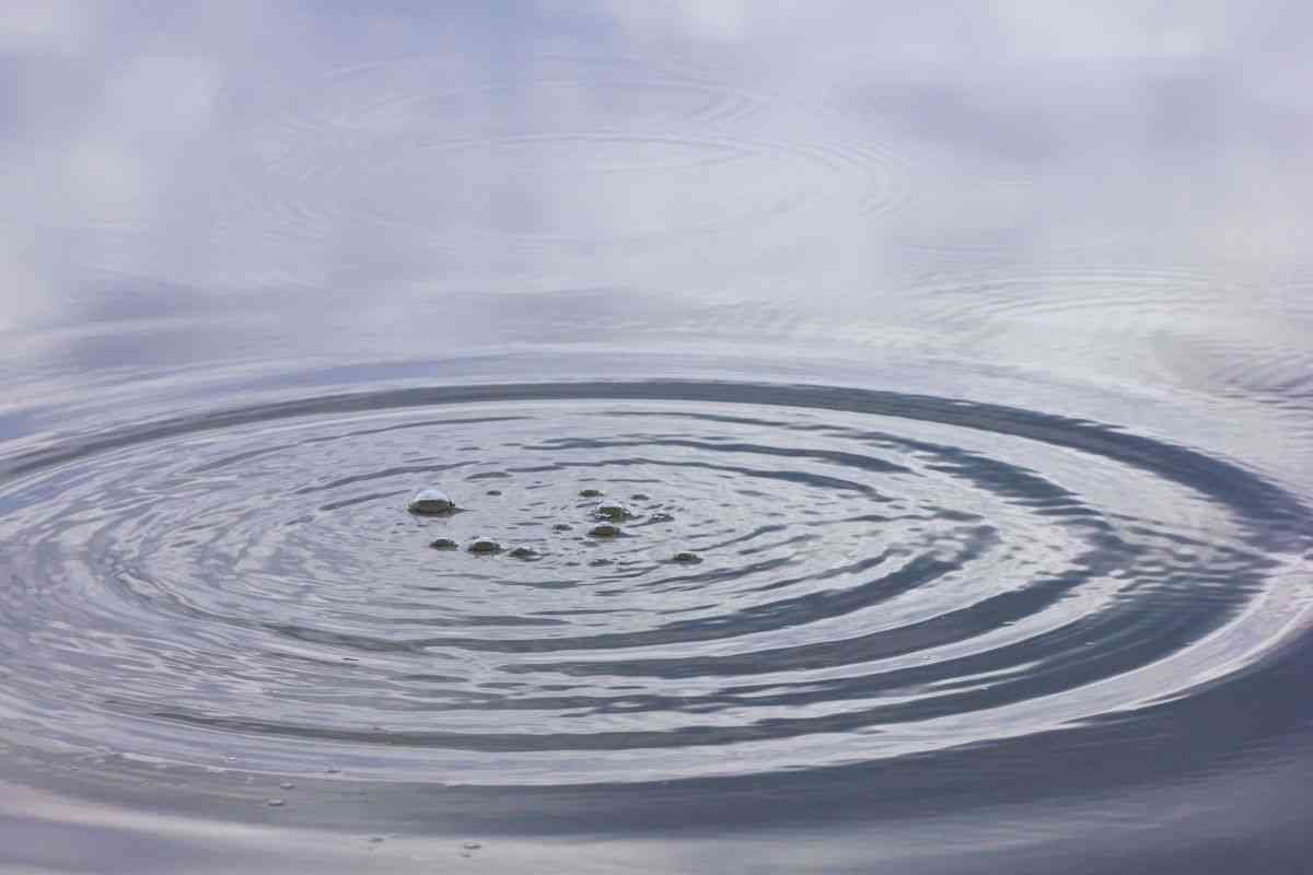 superficie d'acqua increspata da gocce di pioggia