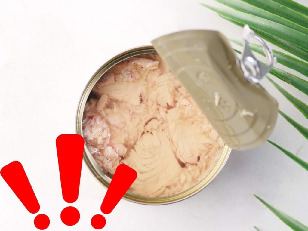 Tonno scatola punti esclamativi