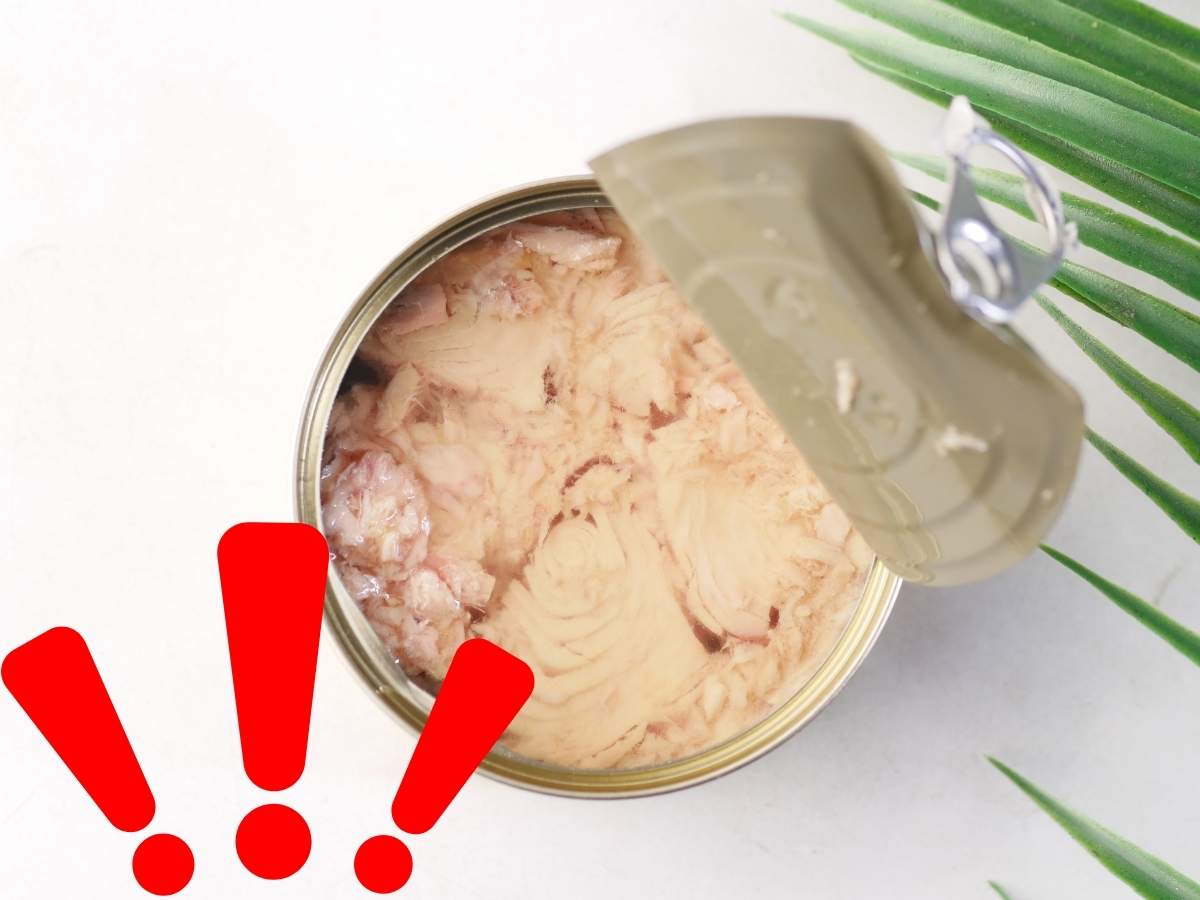 Tonno scatola punti esclamativi