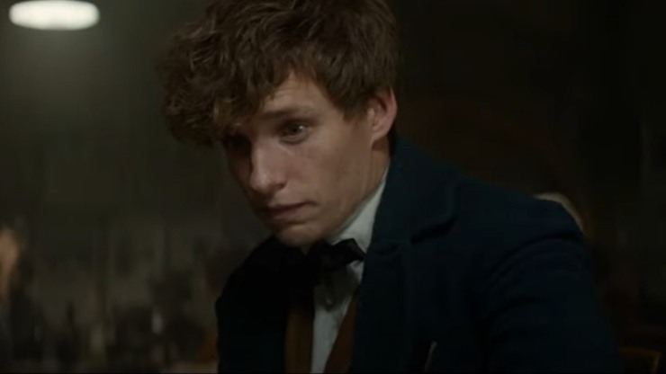 una scena del film animali fantastici e dove trovarli