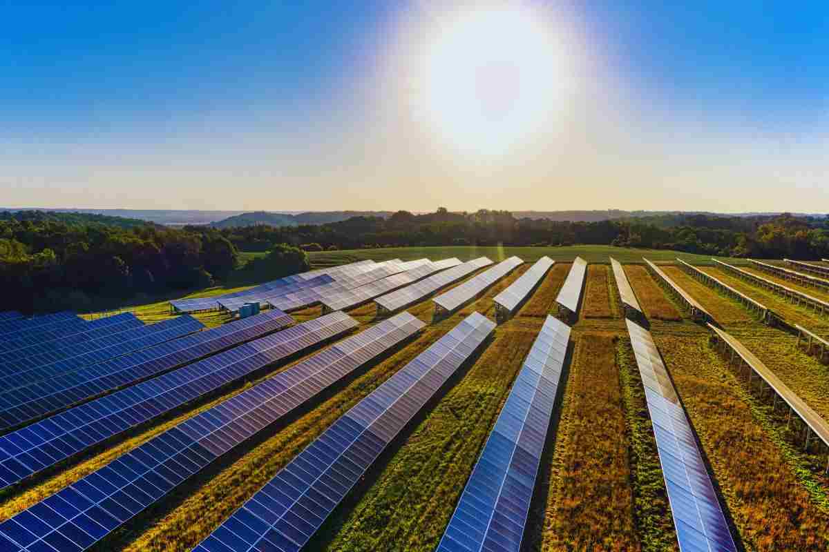 campo pieno di pannelli solari illuminato dal sole