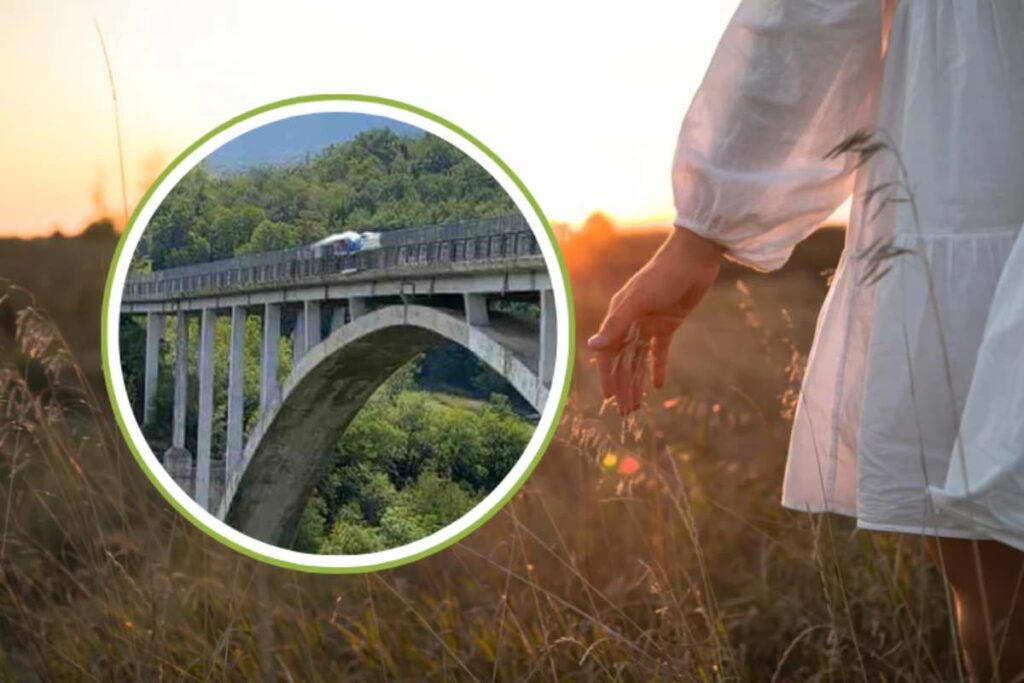 una ragazza in un campo e un ponte nel cerchietto