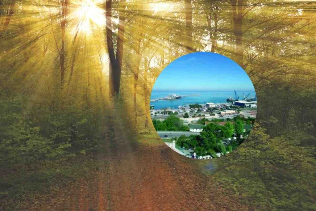 bosco al tramonto e un porto in miniatura