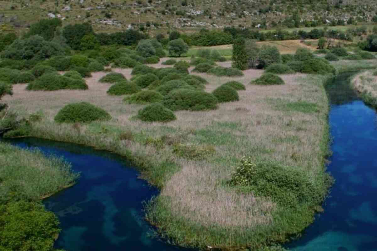 una distesa verde e dell'acqua
