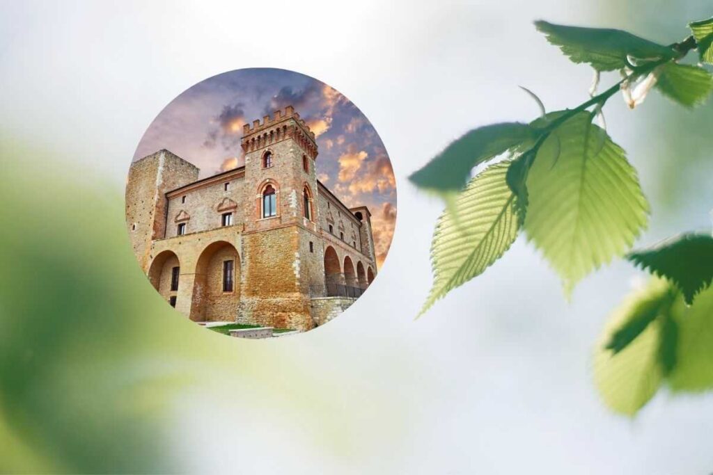 una pianta e un castello nel cerchio