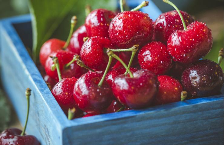 ciliegie fresche bagnate