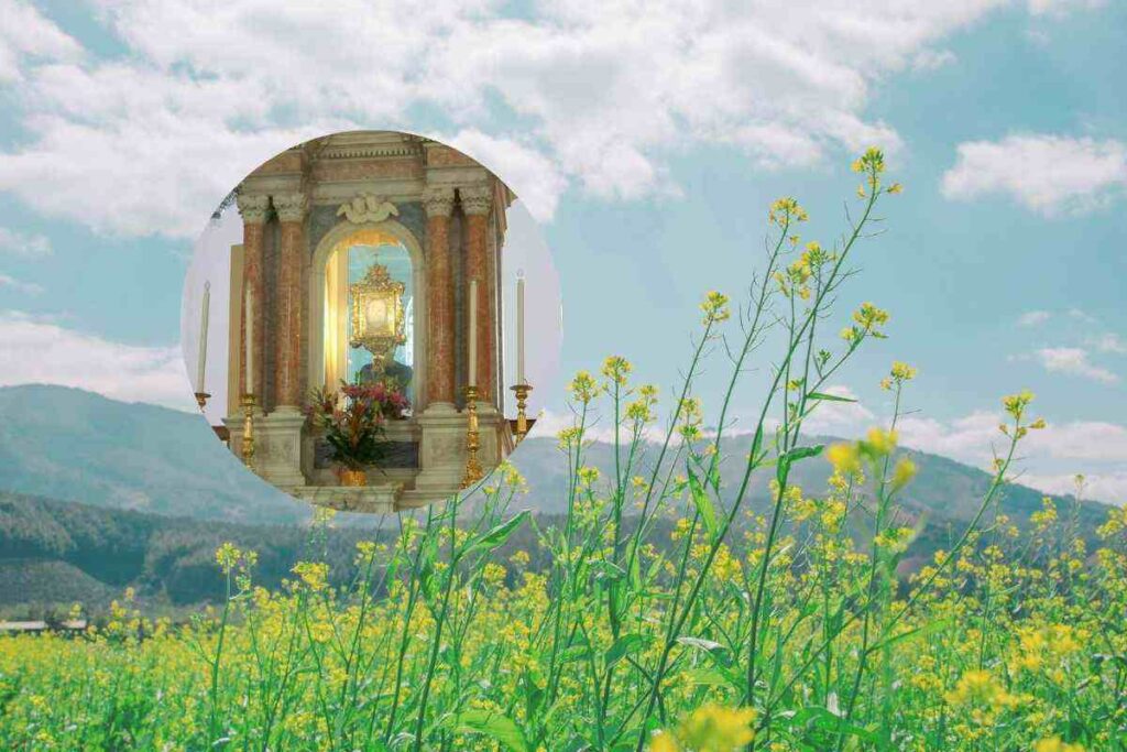 un prato e un'opera nel cerchietto