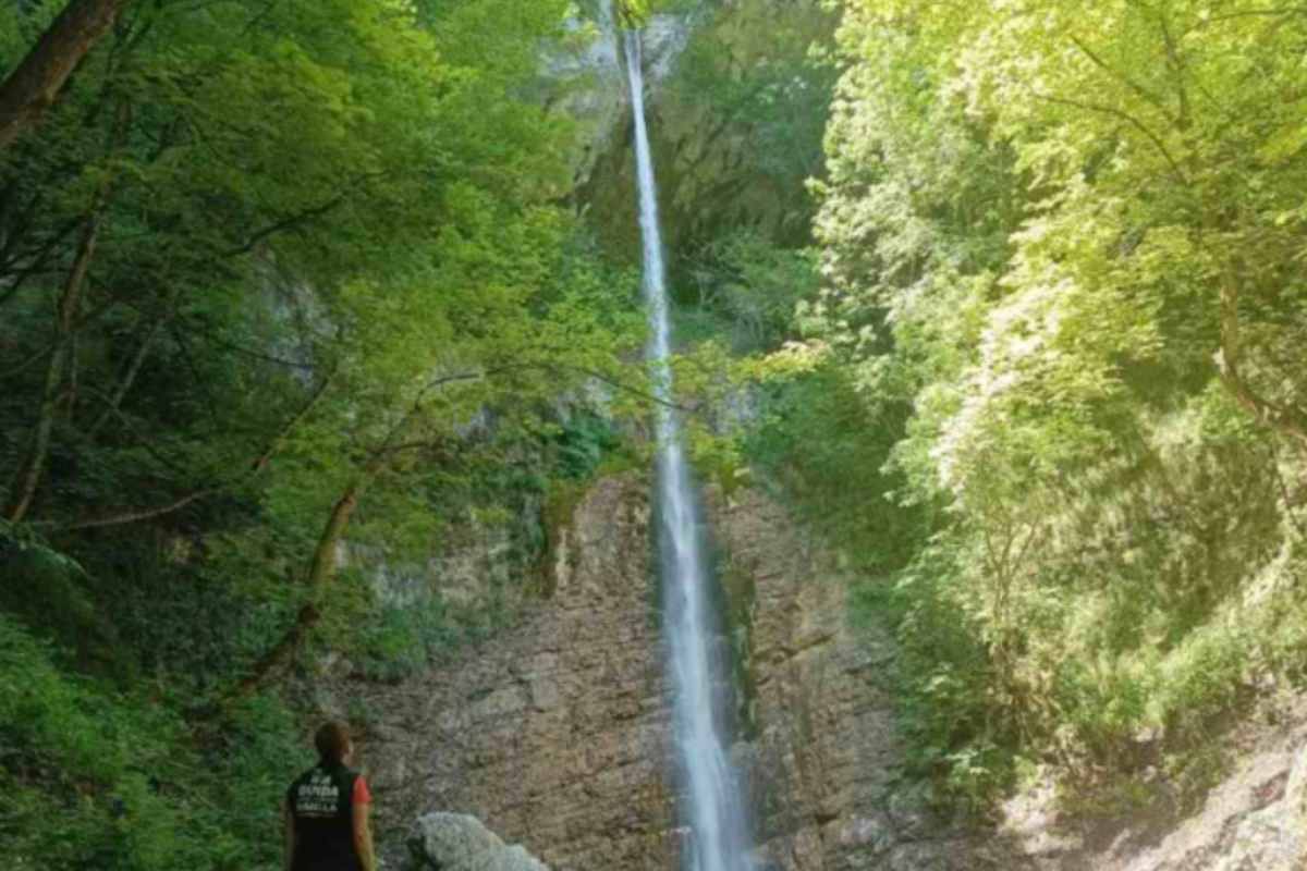 cascata nel verde