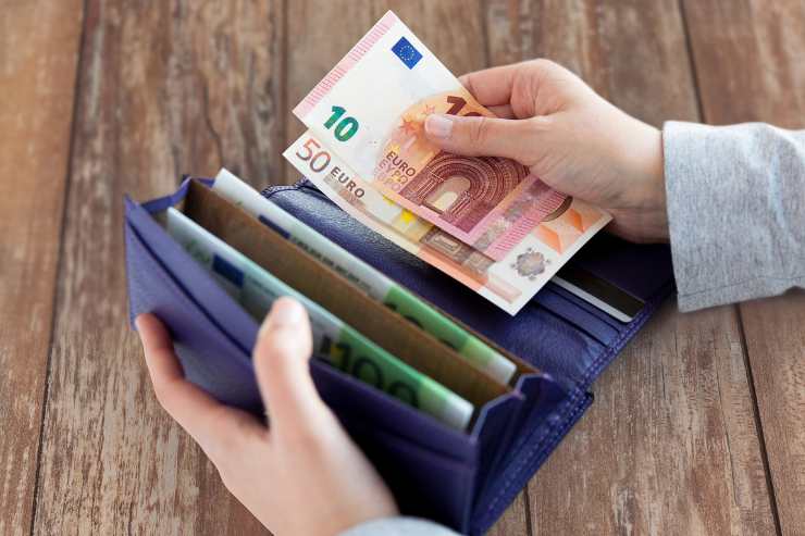 portafoglio con euro