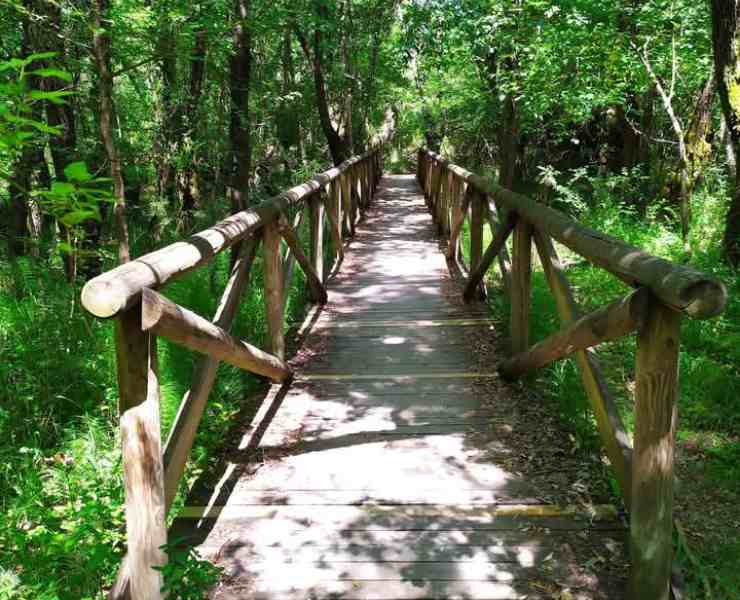 Le gole del Sagittario