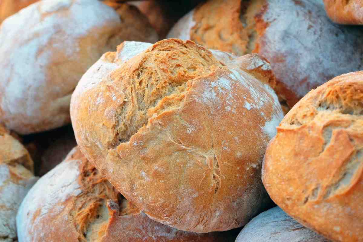 pagnotte di pane abruzzese viste da vicino