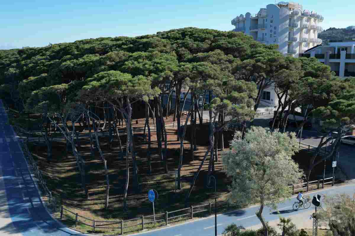Pineta ad Alba Adriatica