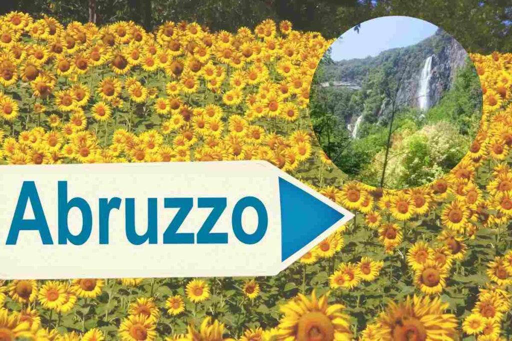 un prato di girasoli, la scritta abruzzo e nel cerchio delle cascate