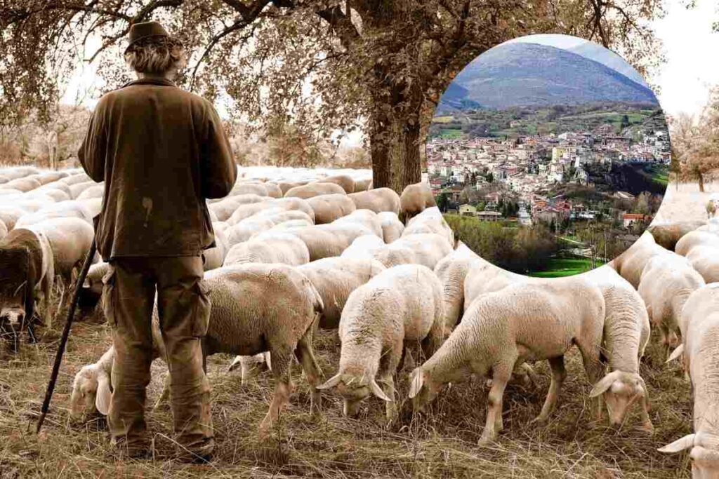 uomo con le pecore e un borgo nel cerchietto