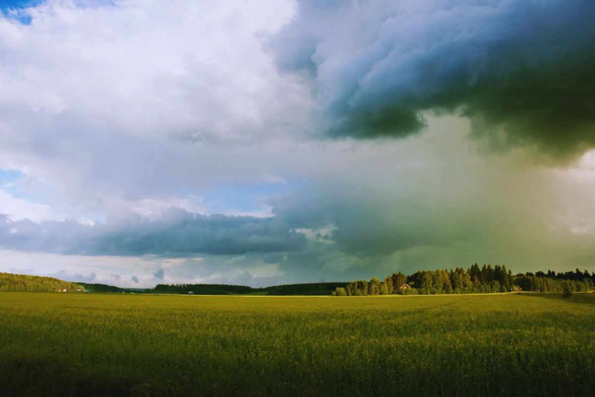 Nuvoloni neri sopra campo di grano