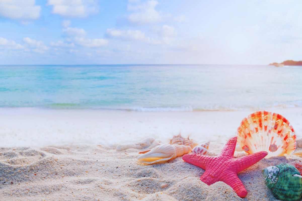 Spiaggia in primo piano e mare sullo sfondo