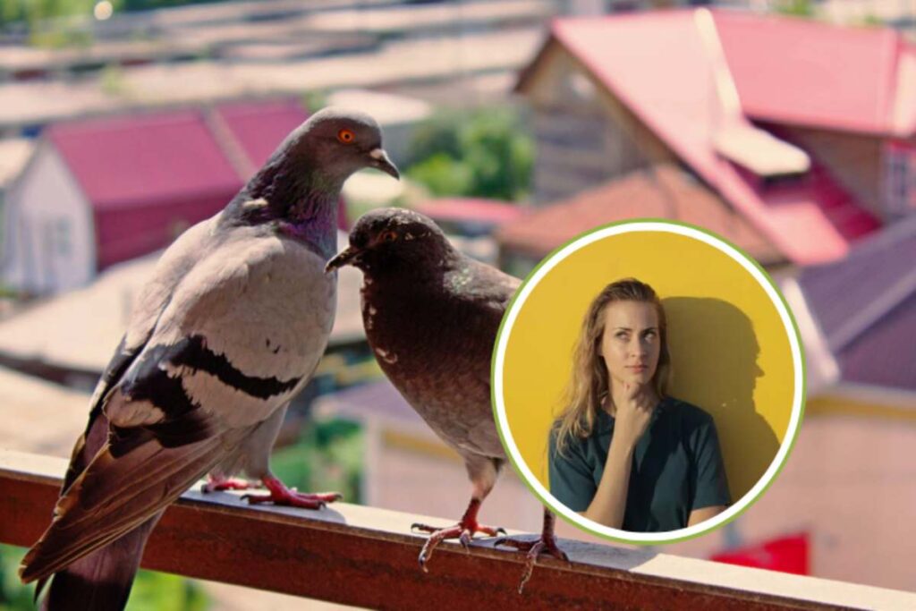 piccioni su balcone e donna pensierosa