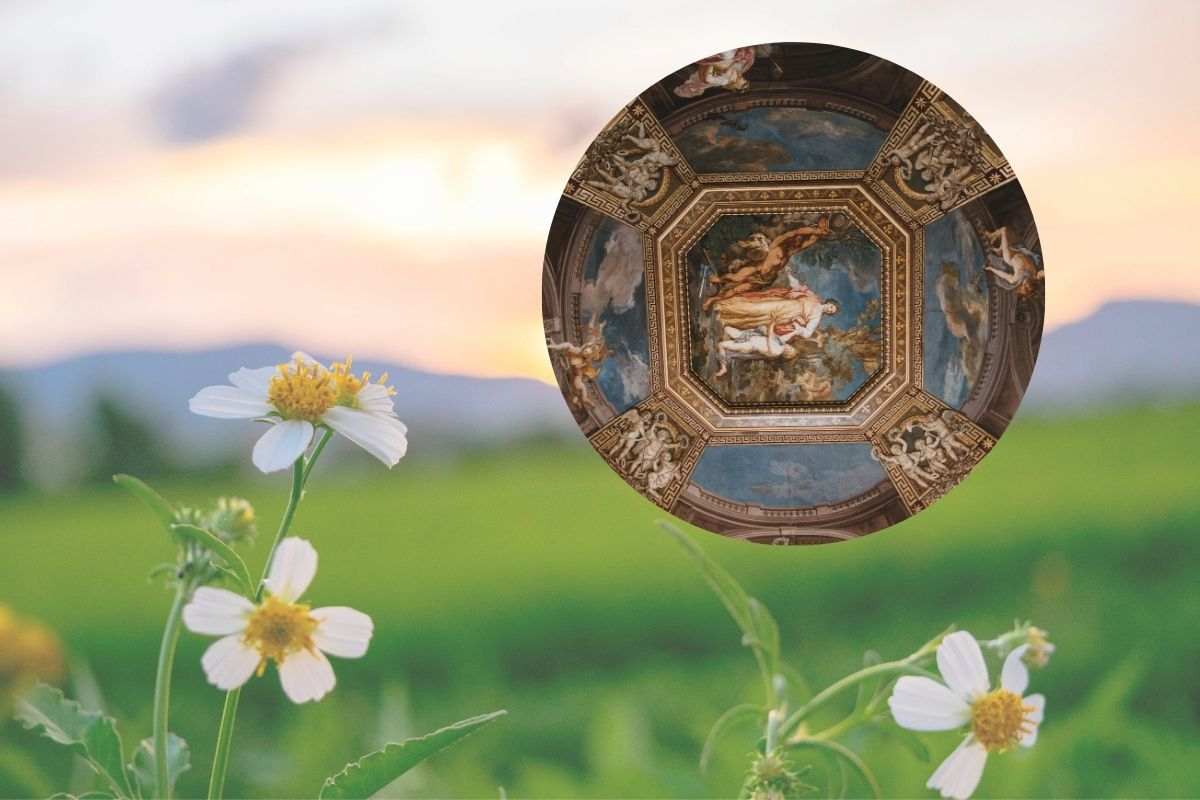 giardino e cappella sistina nel cerchietto