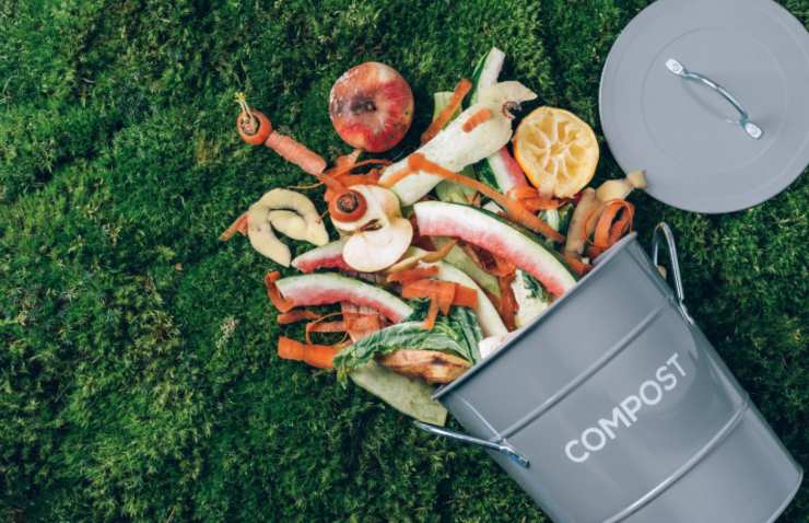 compostiera su un prato con degli scarti di cibo