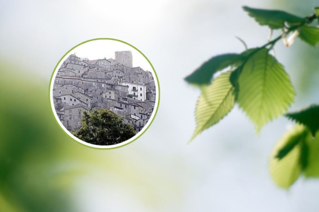 un paesaggio e nel cerchio un borgo