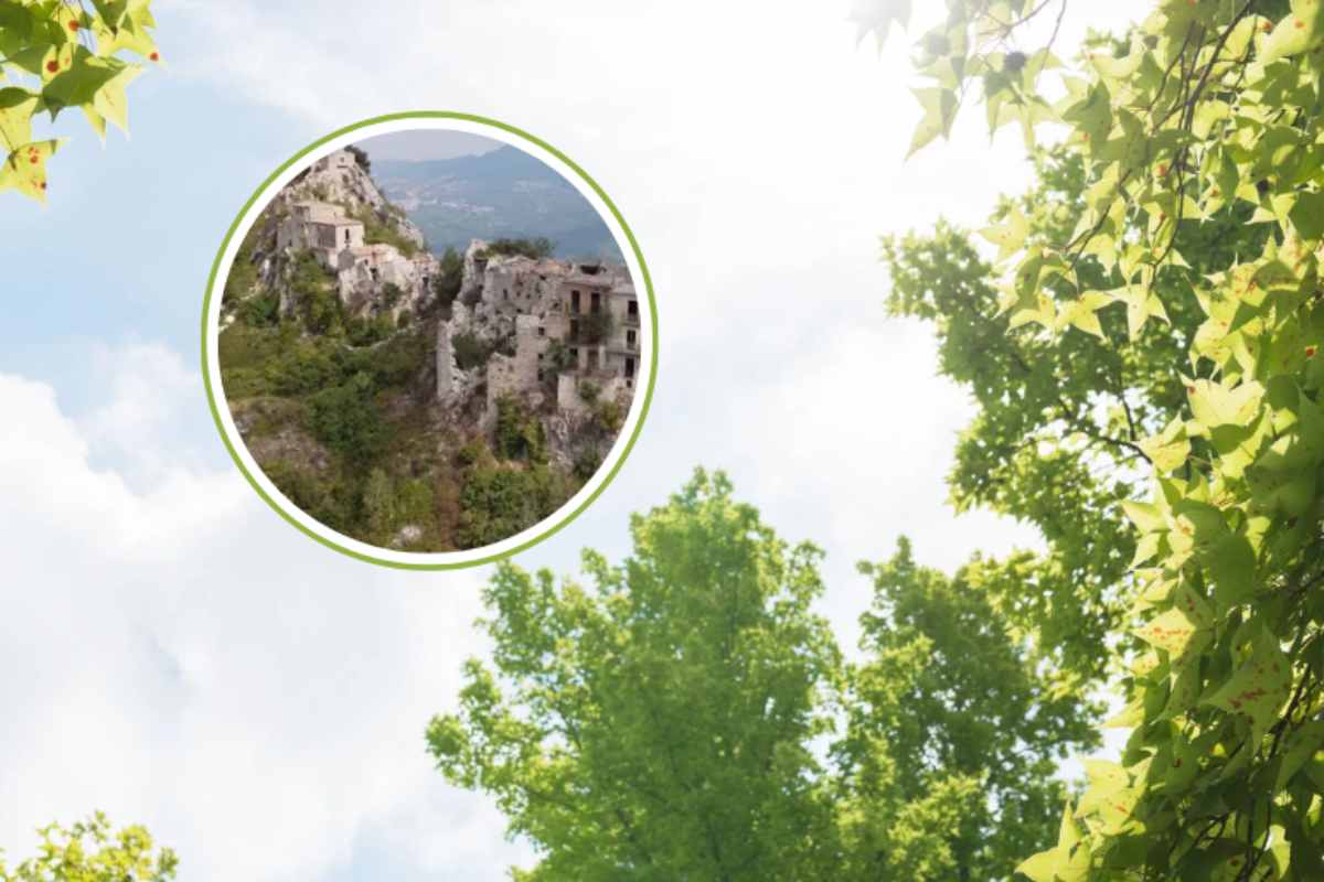 alberi che si stagliano contro il cielo e borgo in cornice