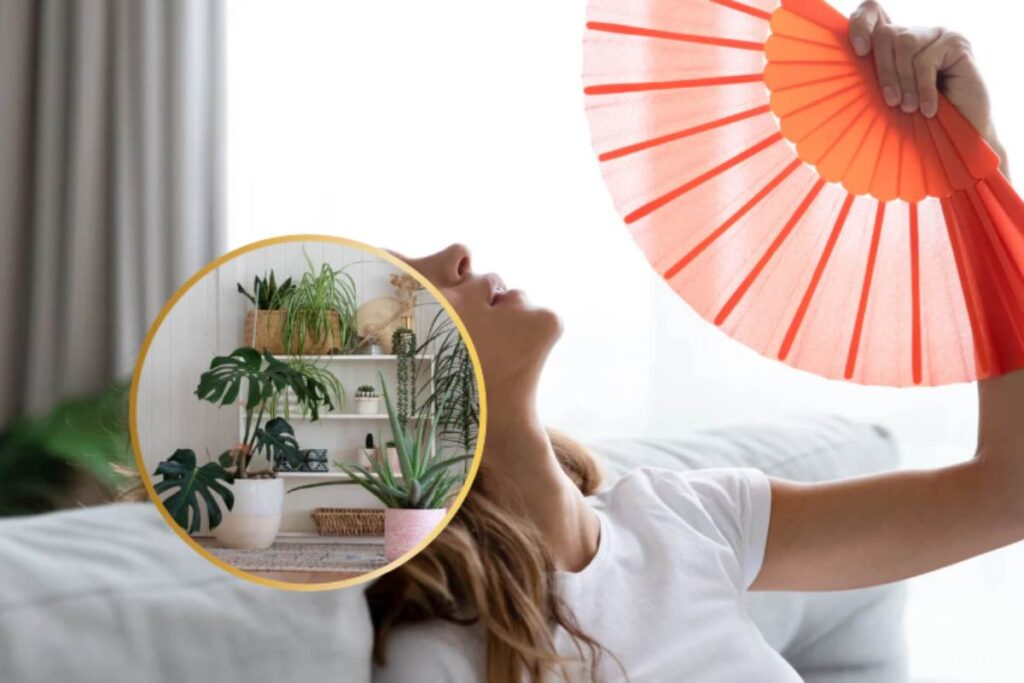 donna che sente caldo e un piantina