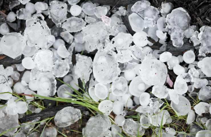 Dei chicchi di grandine