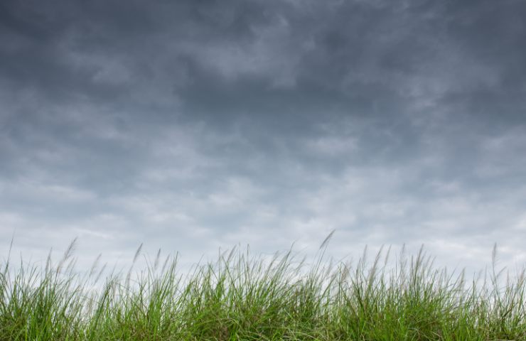 Un cielo nuvoloso su di un prato
