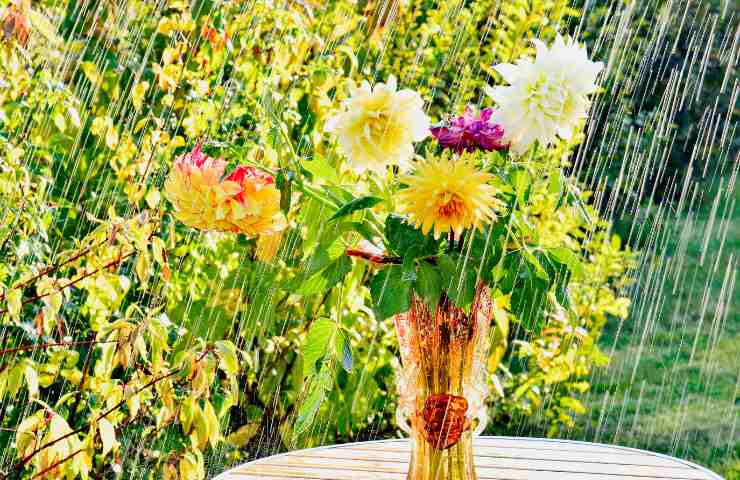 Una pioggia in corso in estate e dei fiori colorati