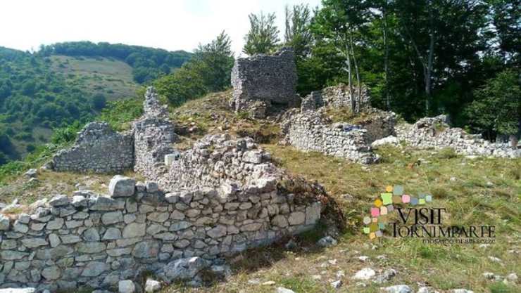 un percorso costeggiato di muro in pietra nella natura