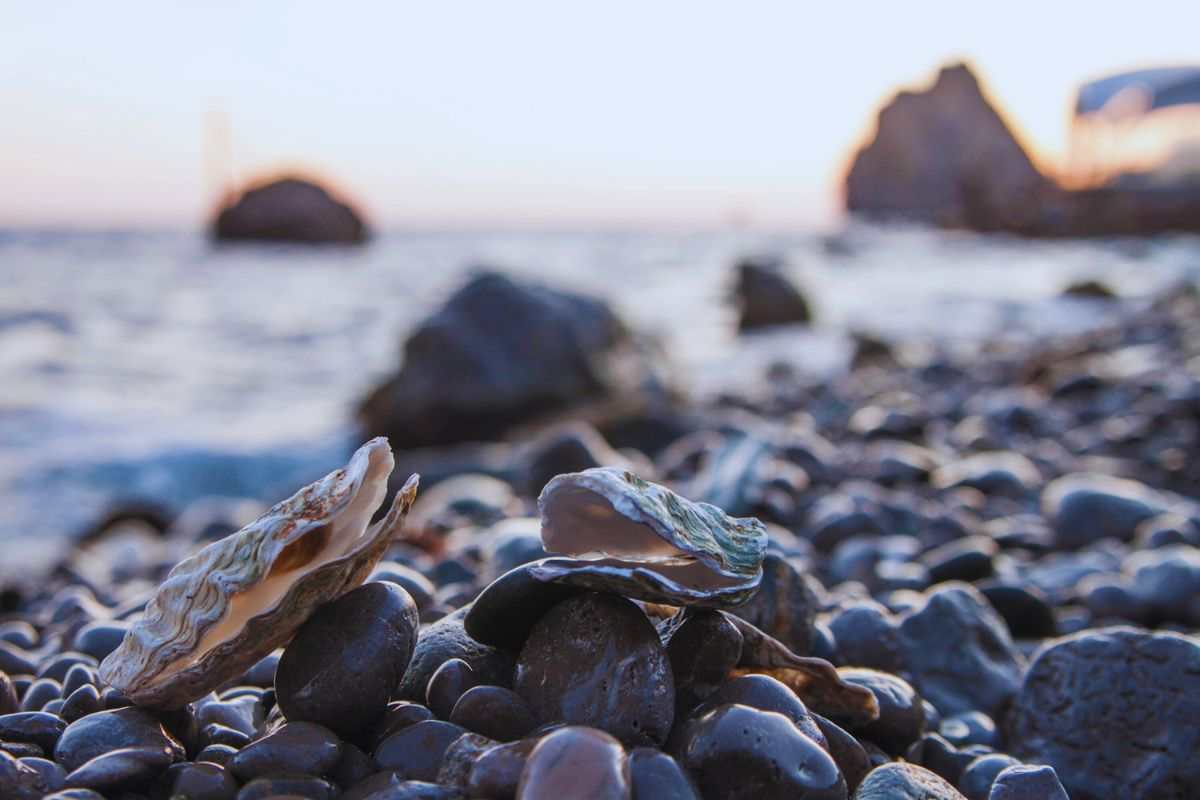 mare e spiaggia di ciottoli