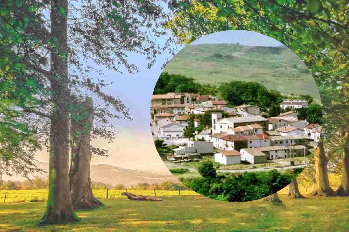 alberi rigogliosi e un borgo in cornice