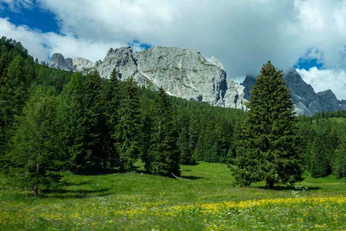montagne con alberi e cielo pezzato di nuvole