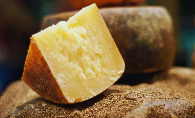 pecorino abruzzese