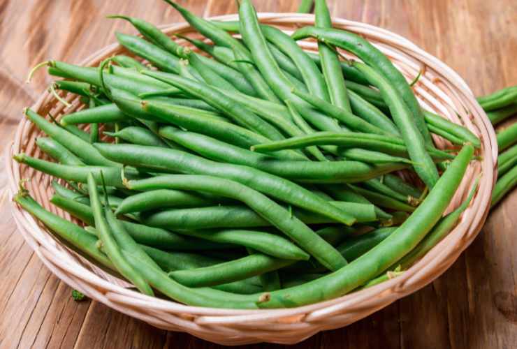cesta di fagiolini crudi