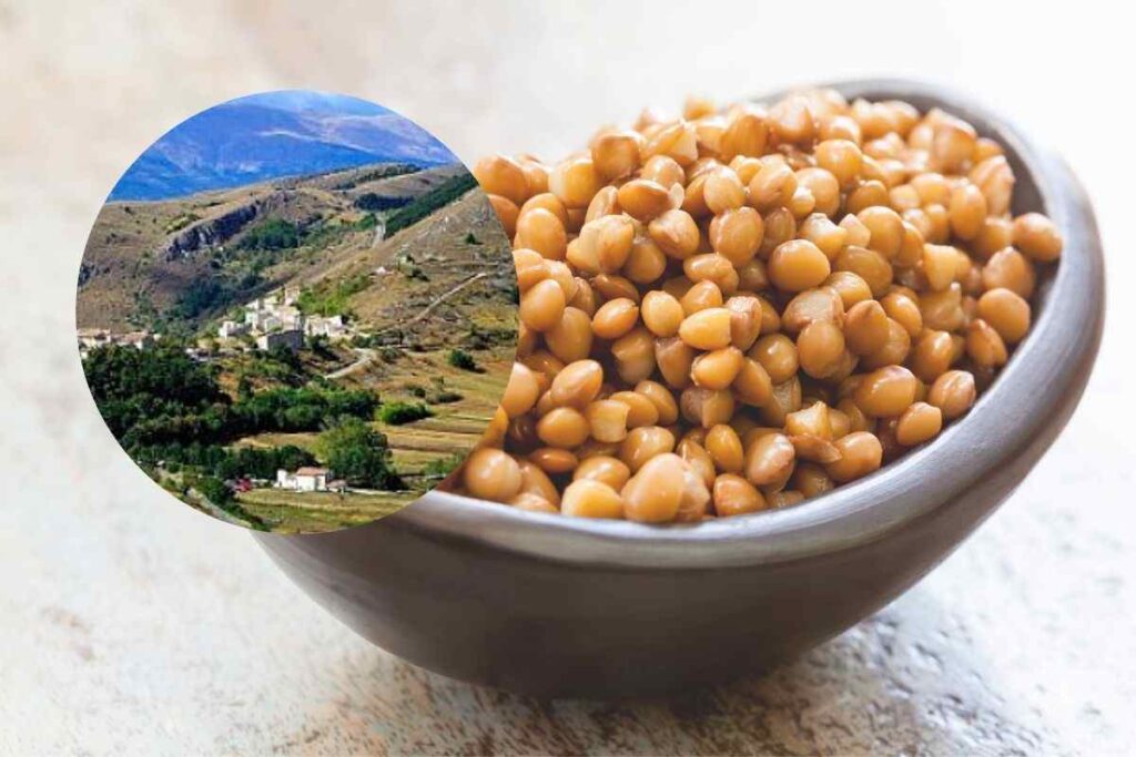 lenticchie in una ciotola e un monte in cornice