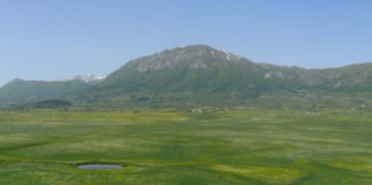 vallata di verde con montagna