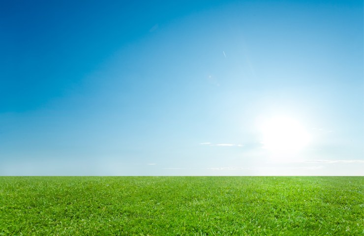 Una giornata serena in un campo