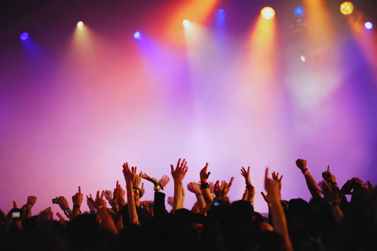 persone ad un concerto con luci viola