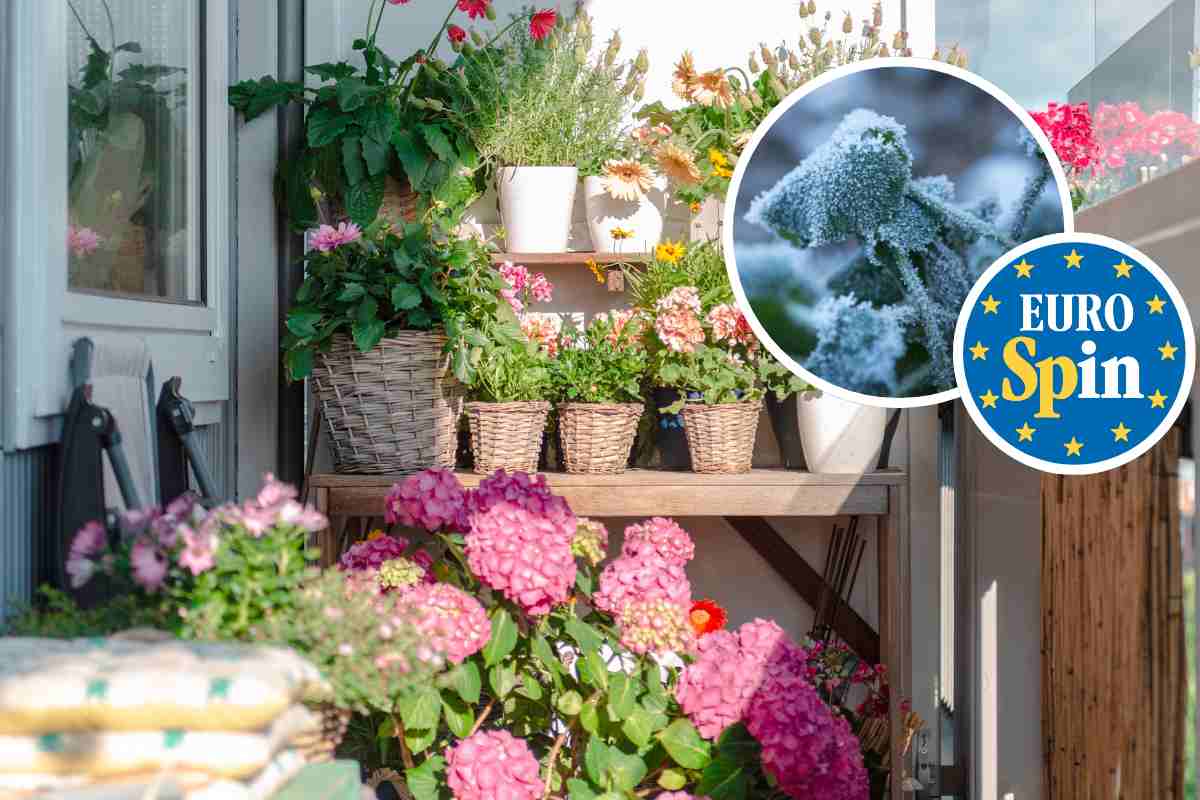 balcone con piante e logo eurospin