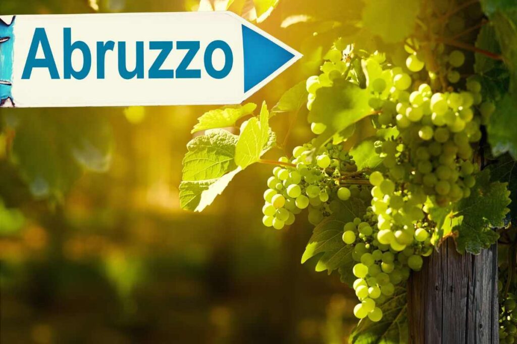 grappolo d'uva e scritta abruzzo