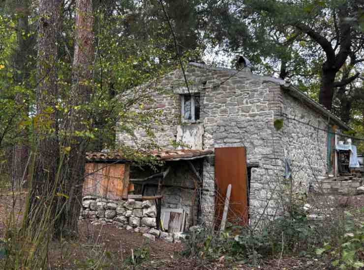 La casa nel bosco