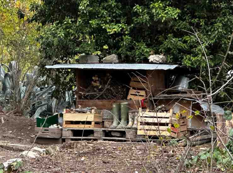 Famiglia nel bosco, il luogo della casa