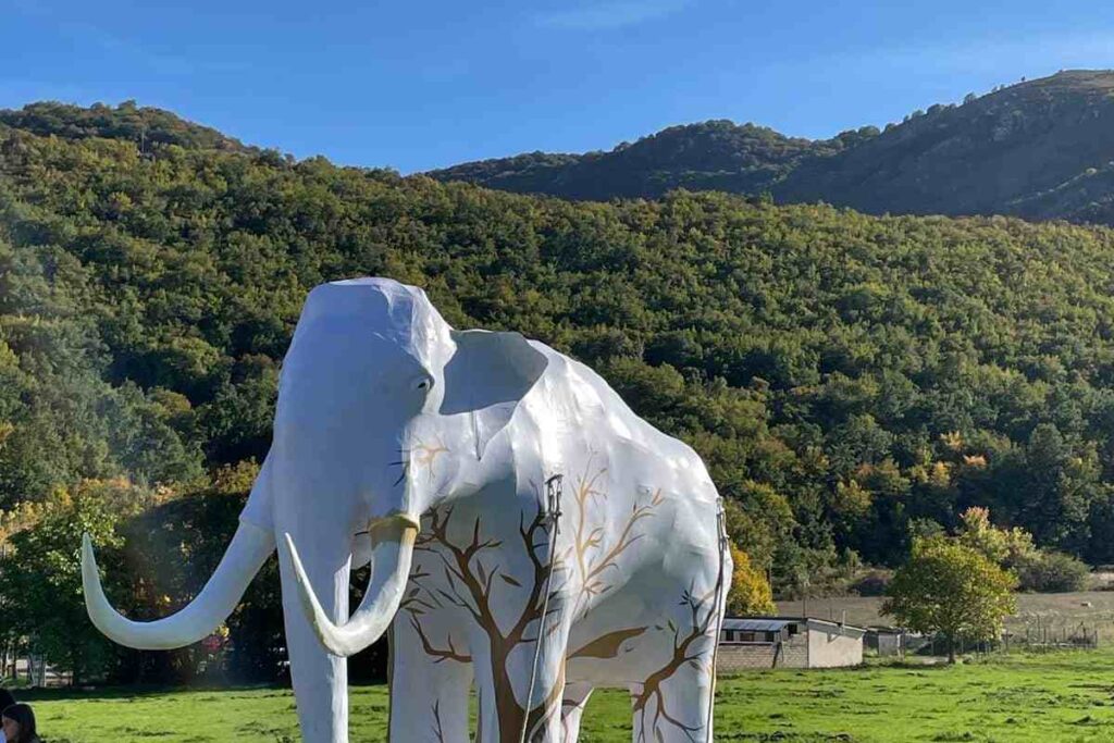 elefante e montagne verdi